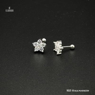Sparkling Star – 925 Silver Micro Zircon Stud Earrings